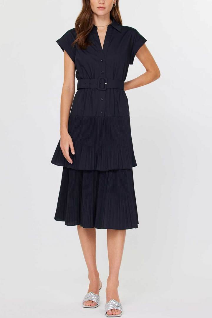 Canandaigua Dress