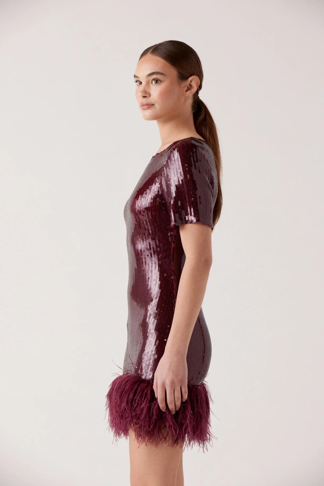 SOPHIE RUE | Bea Sequins Dress