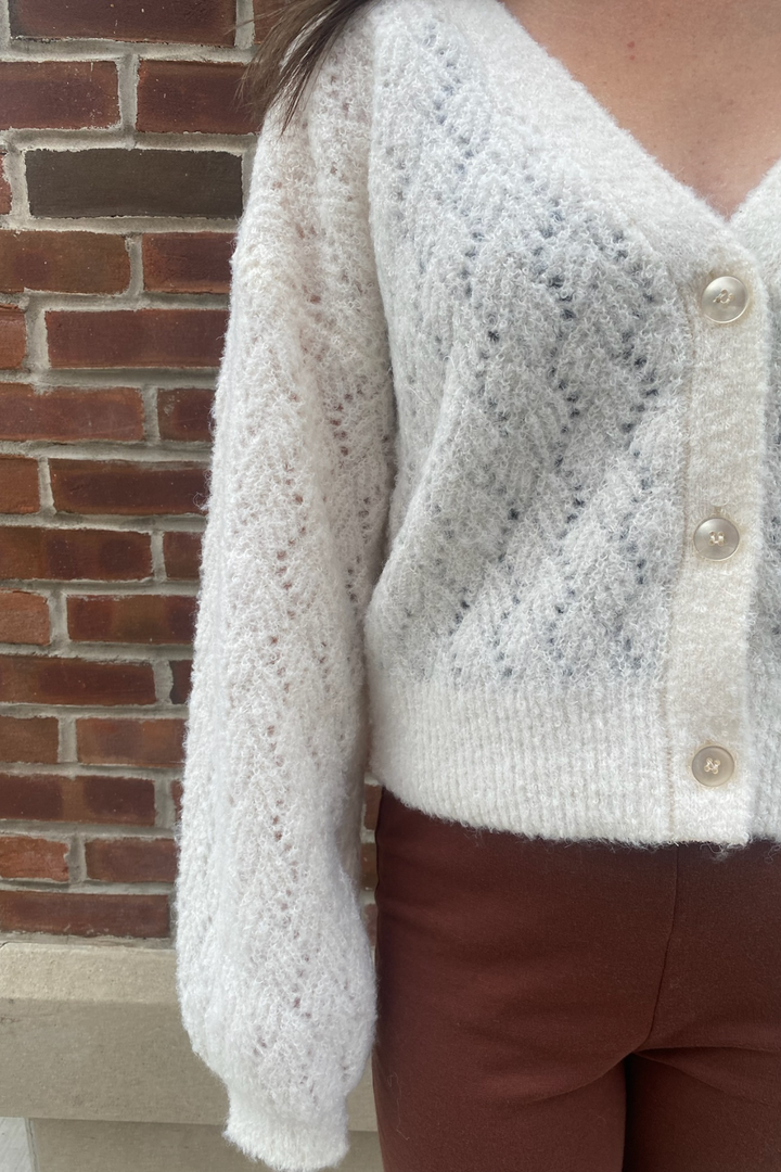 525 AMERICA | CELESTE CARDI