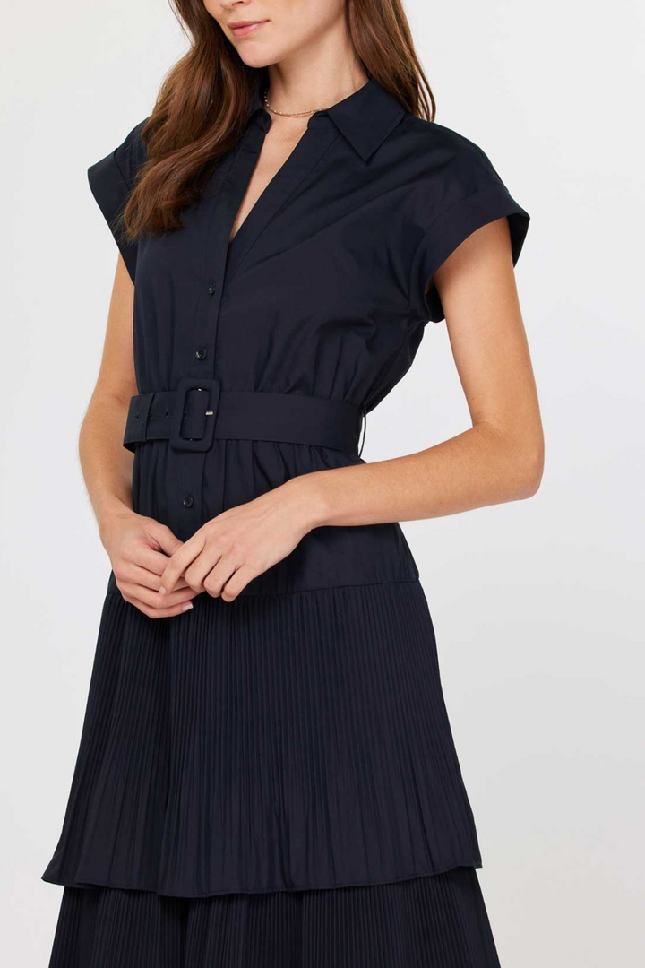 Canandaigua Dress