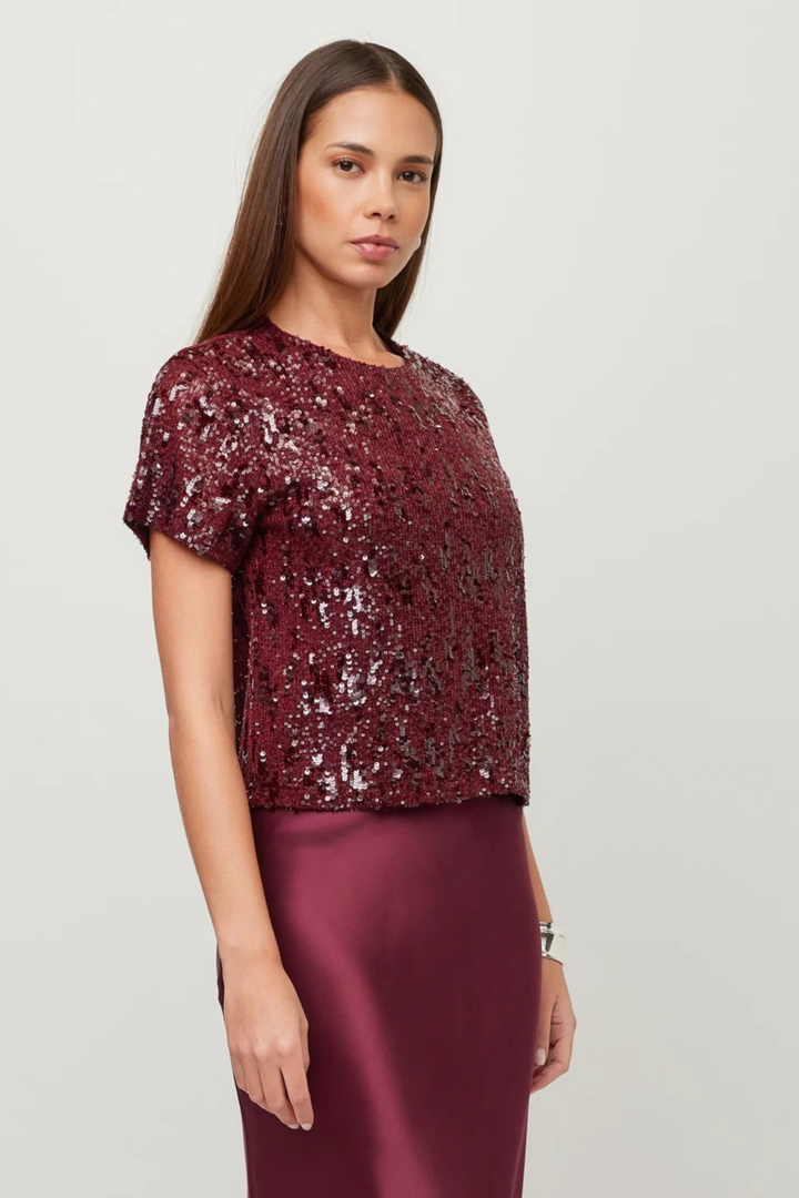Fifteen Twenty |Stacey Sequin Top