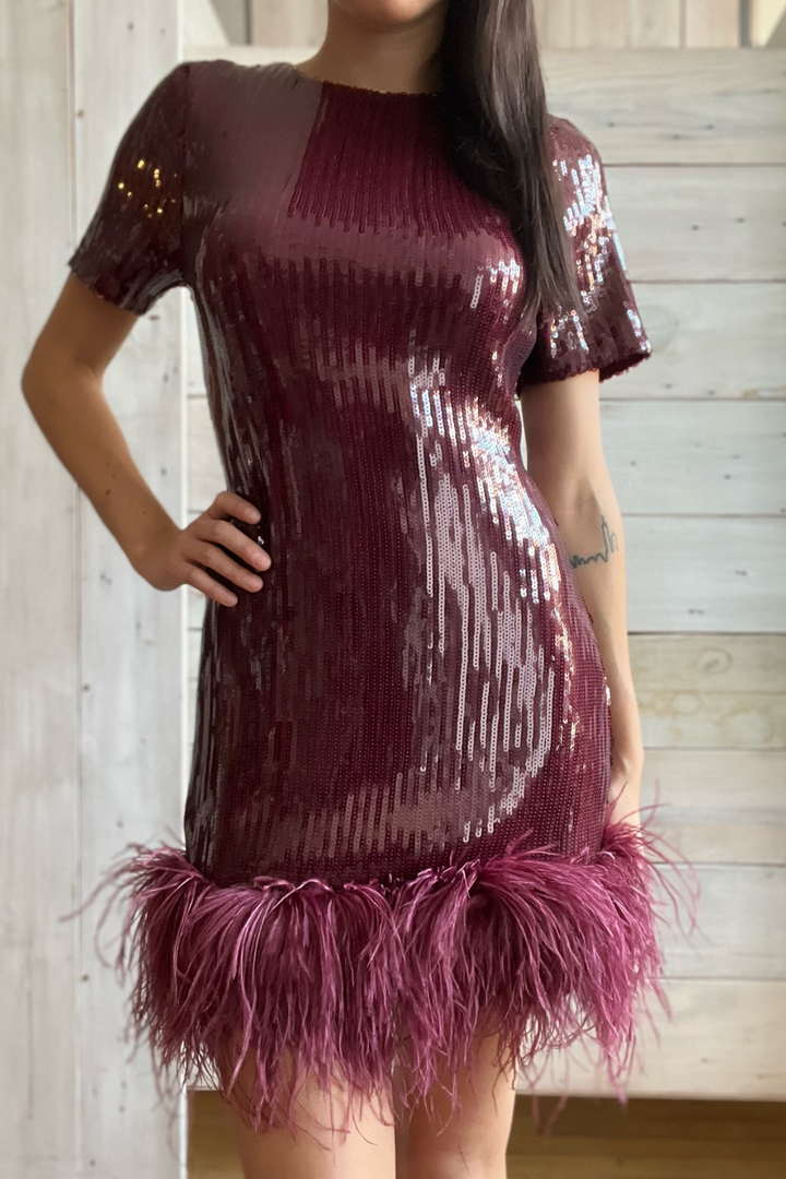 SOPHIE RUE | Bea Sequins Dress