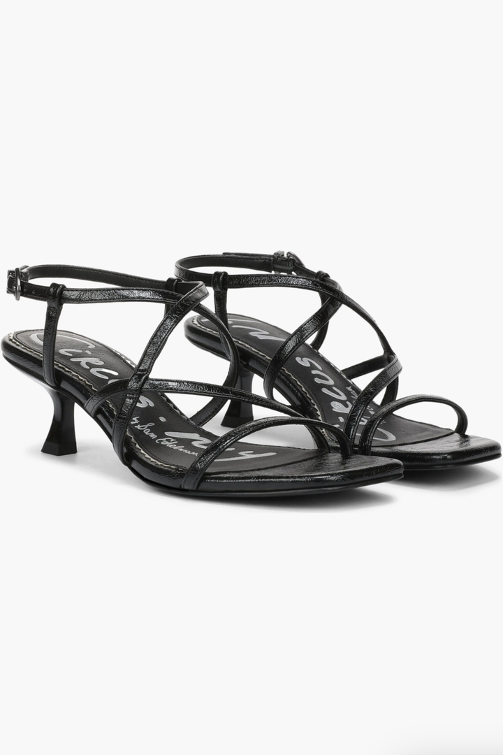 Circus | Jasmine in Black