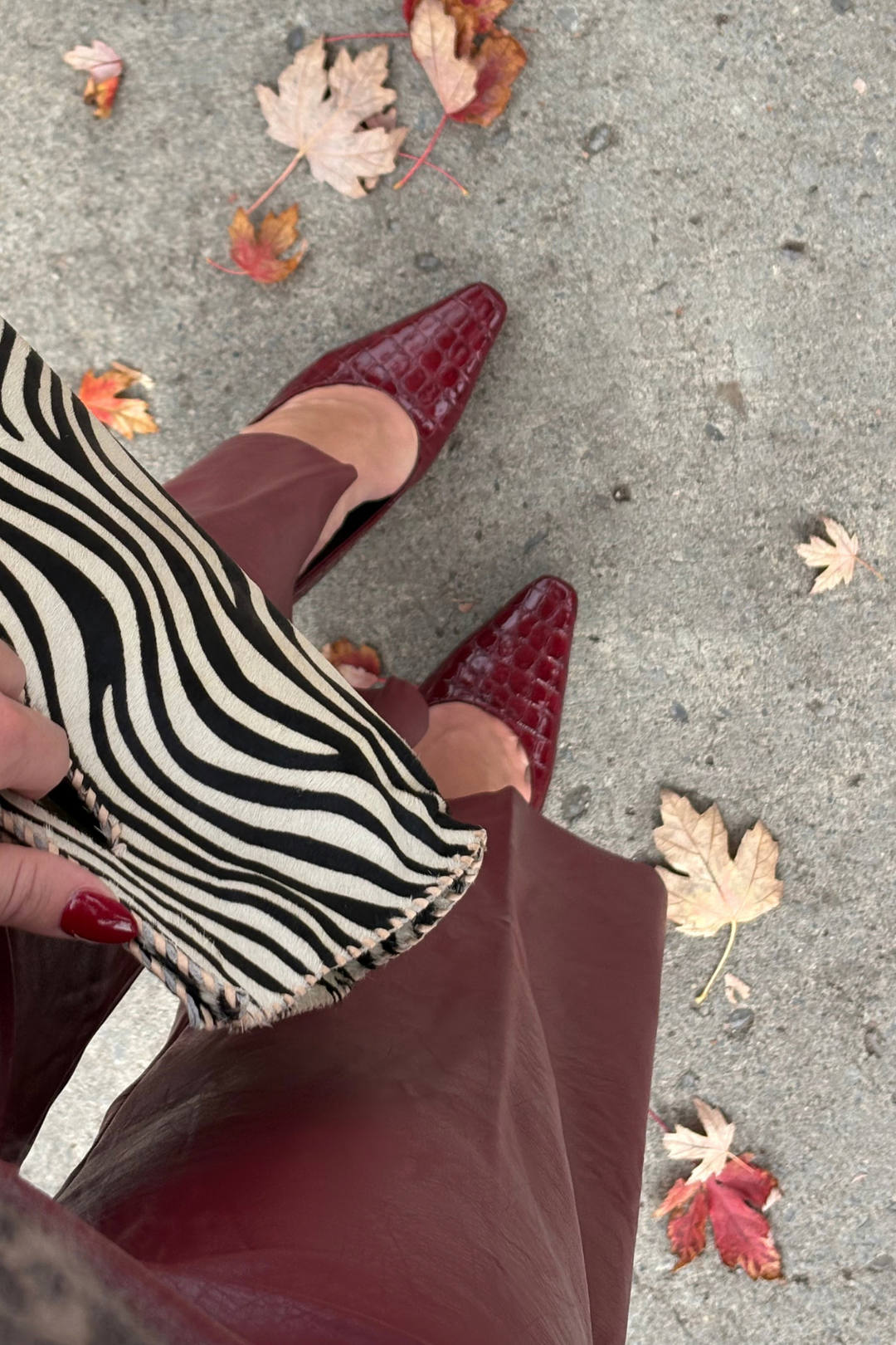 Circus| Solenne - Glossy Croc