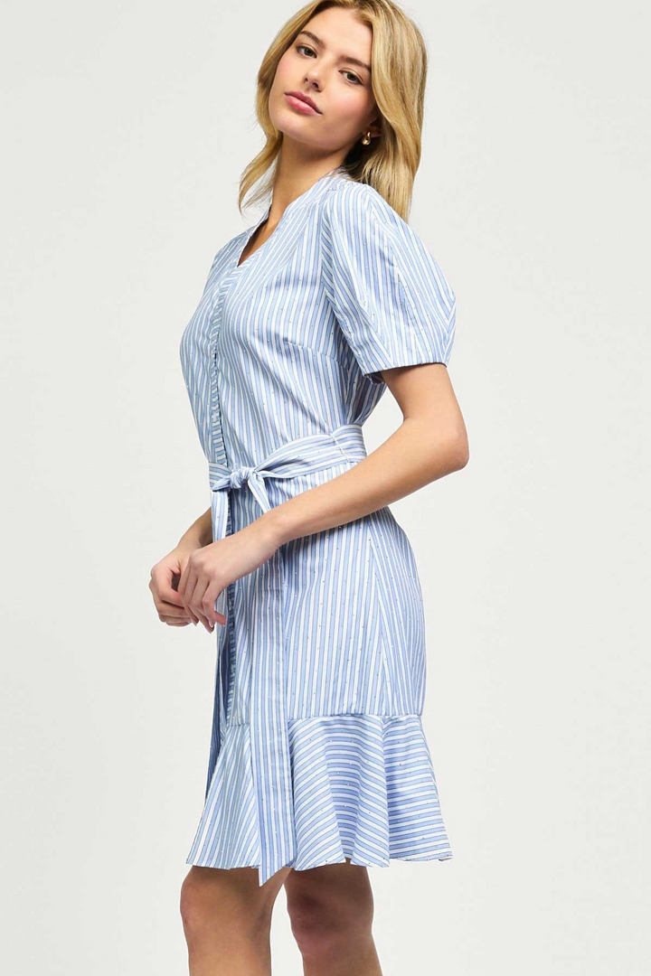Derek Studded Shirt Dress