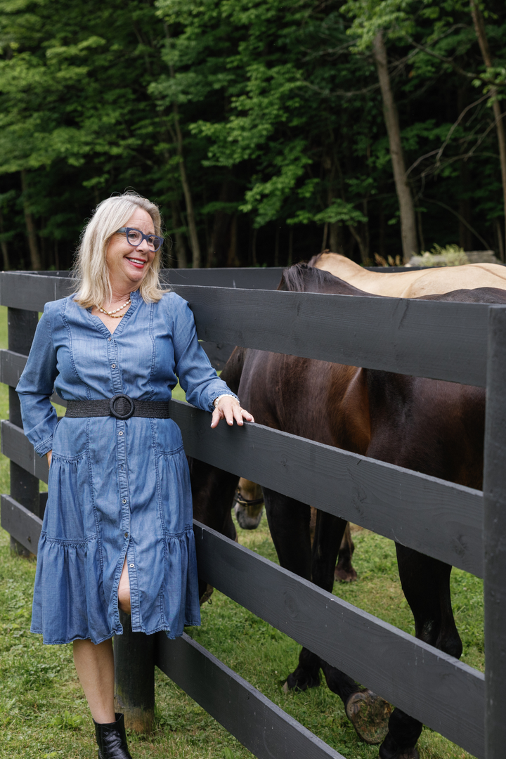 Chelsea Chambray Dress